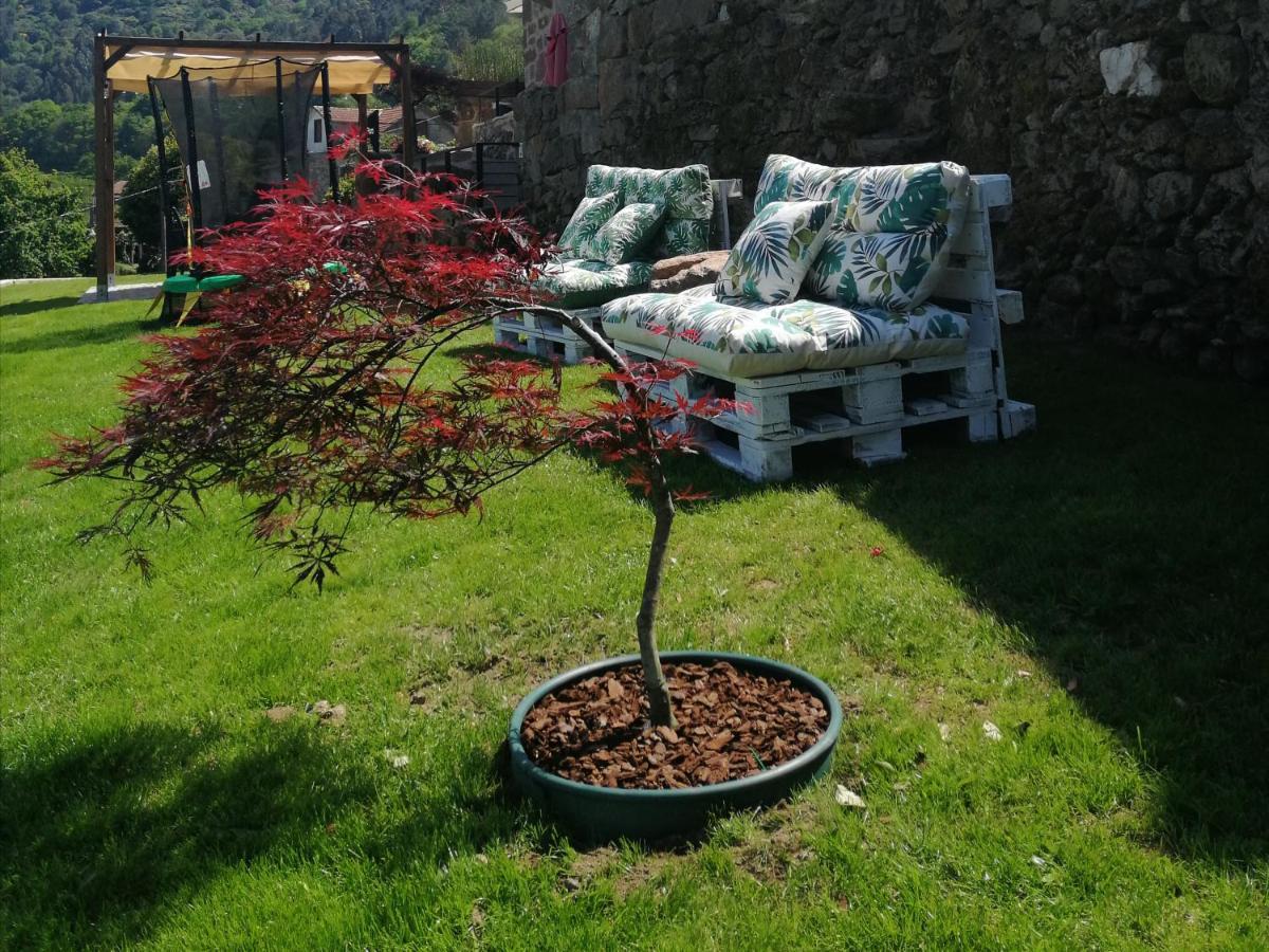 Covas Quinta Das Pedras Novas公寓 外观 照片